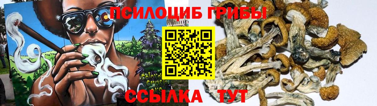 Ноябрьск  Псилоцибиновые грибы GOLDEN TEACHER  цена наркотик  Галлюциногенные грибы GOLDEN TEACHER  Вход с VPN 