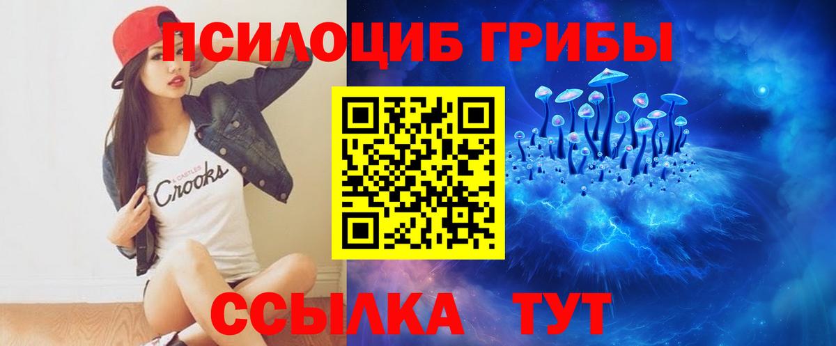 Псилоцибиновые грибы Psilocybe Ноябрьск